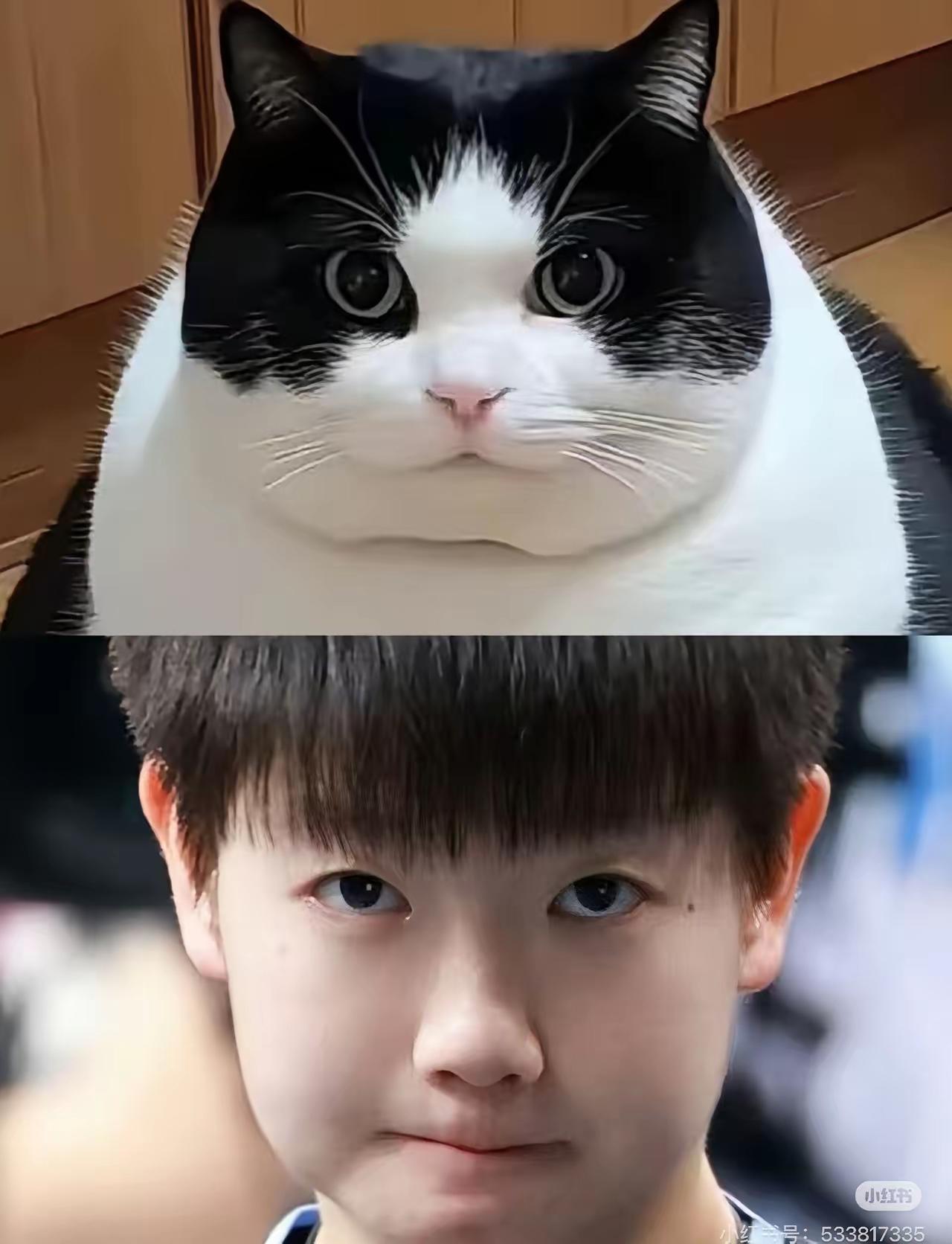 文原创/孙喜清

       孙颖莎的乒乓球技战术临场发挥应变能力技高一筹出类