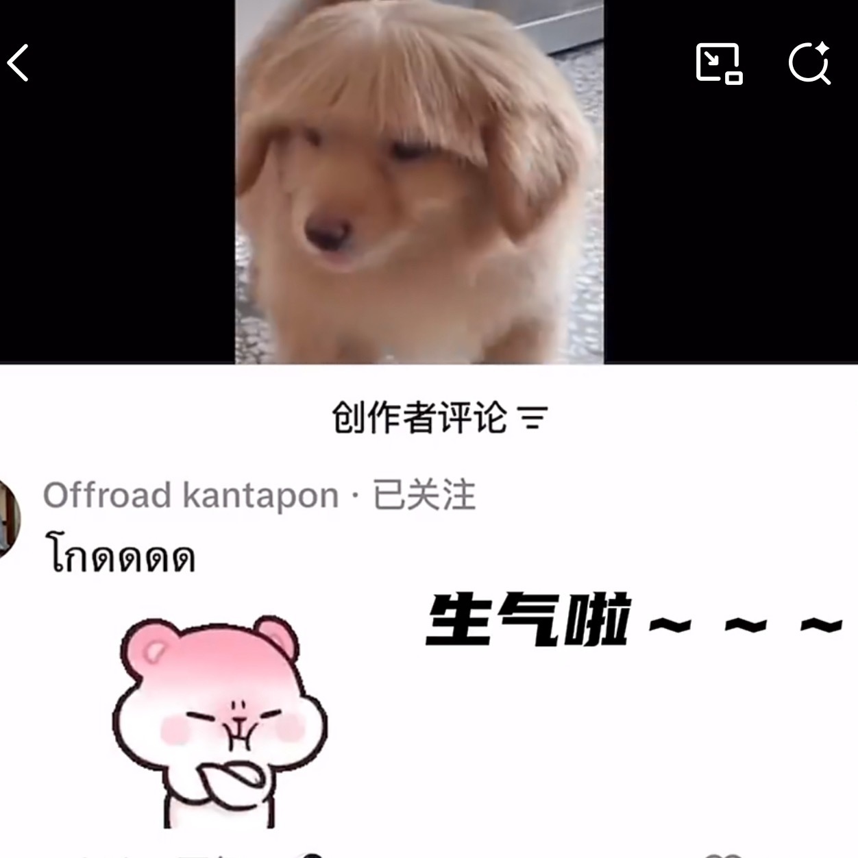 DaouOffroad  宝宝去哪里找的这么多可爱的表情包