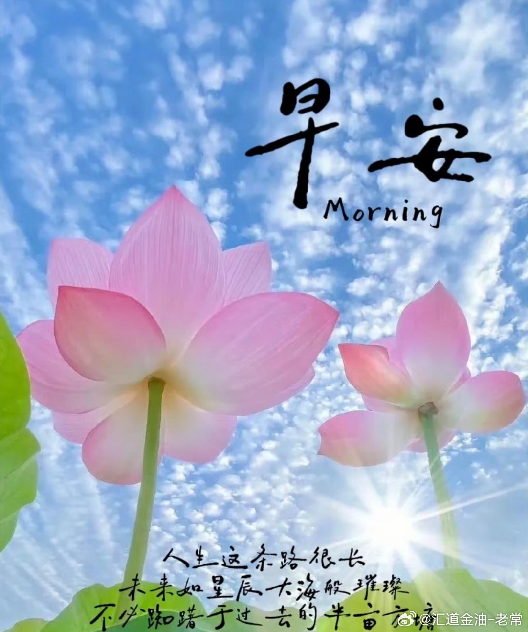 想要成为什么样的人，就努力靠近什么样子的人。选对圈子，与优秀者同行，遇见更好的自