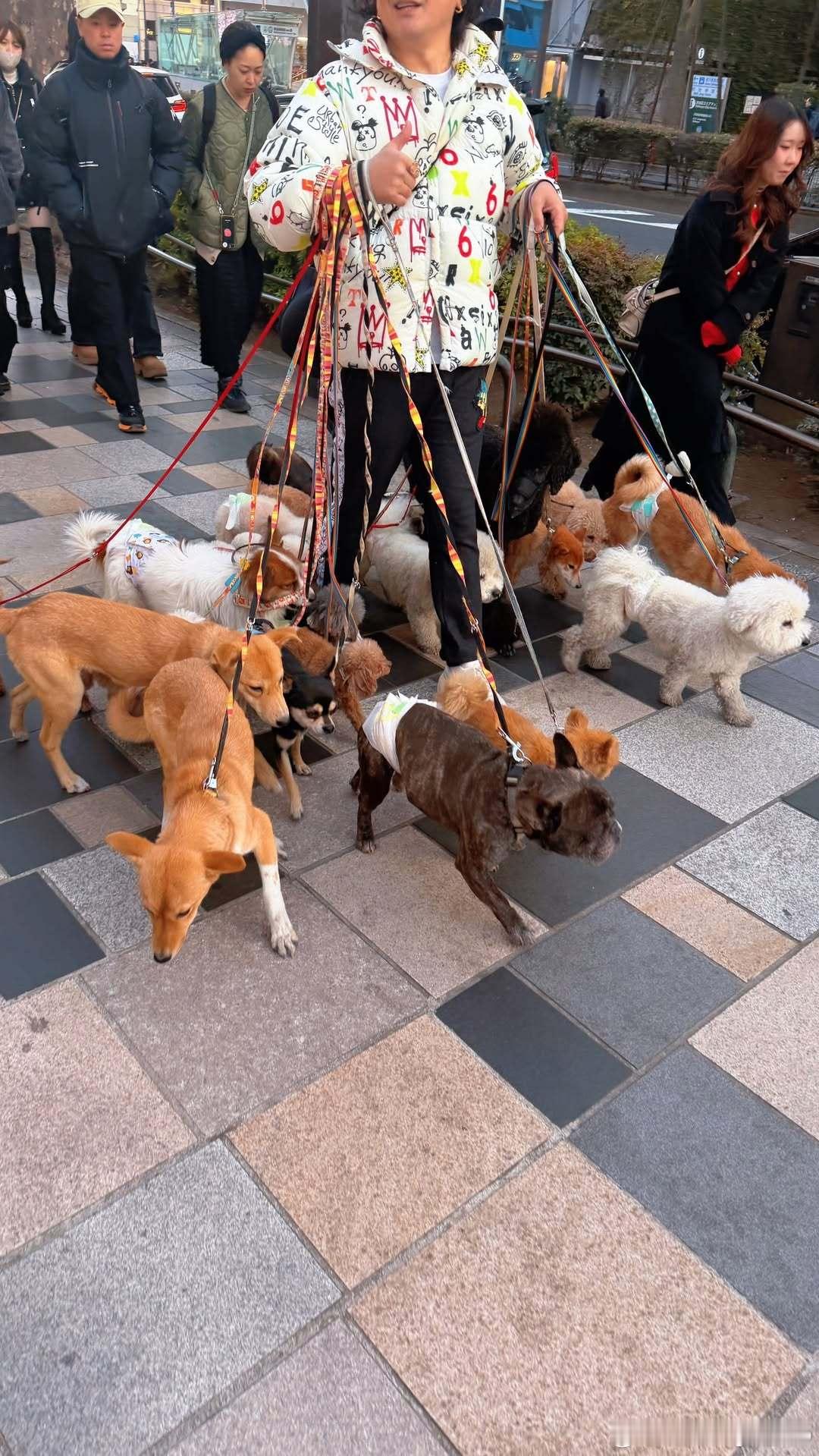 迪亚兹📍东京银座 