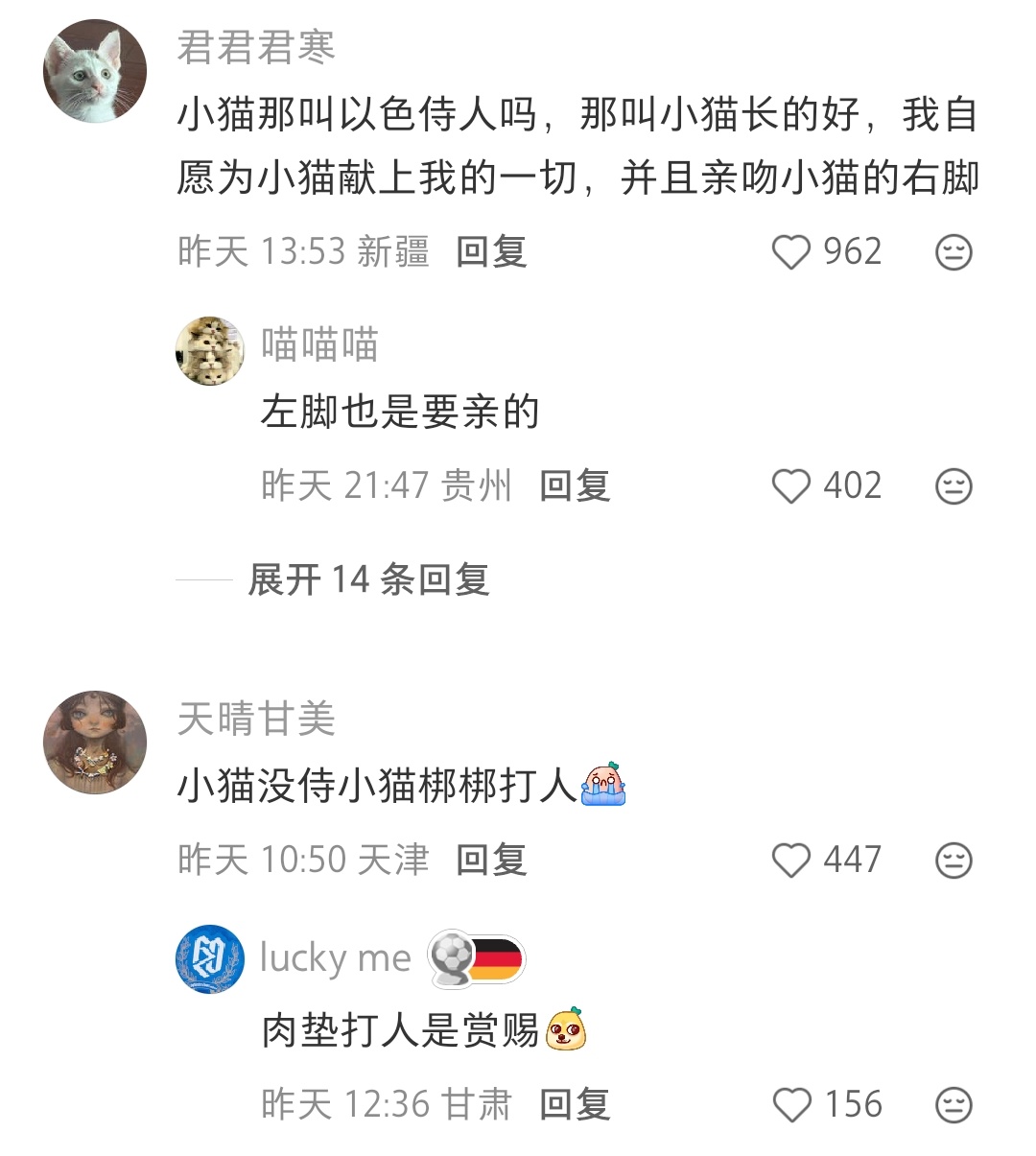 哈哈哈“我自愿为小猫献上一切，并且亲吻小猫的右脚”