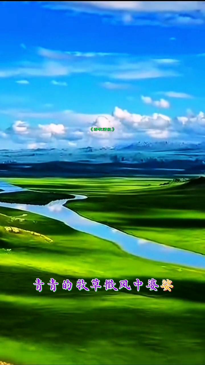 《游牧情歌》。
青青的牧草微风中婆娑，奔驰的骏马追赶着快乐，马头琴声响听风在唱歌