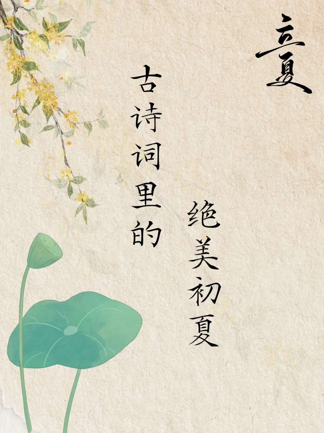 古诗词里的绝美初夏，朋友圈文案必备哦！