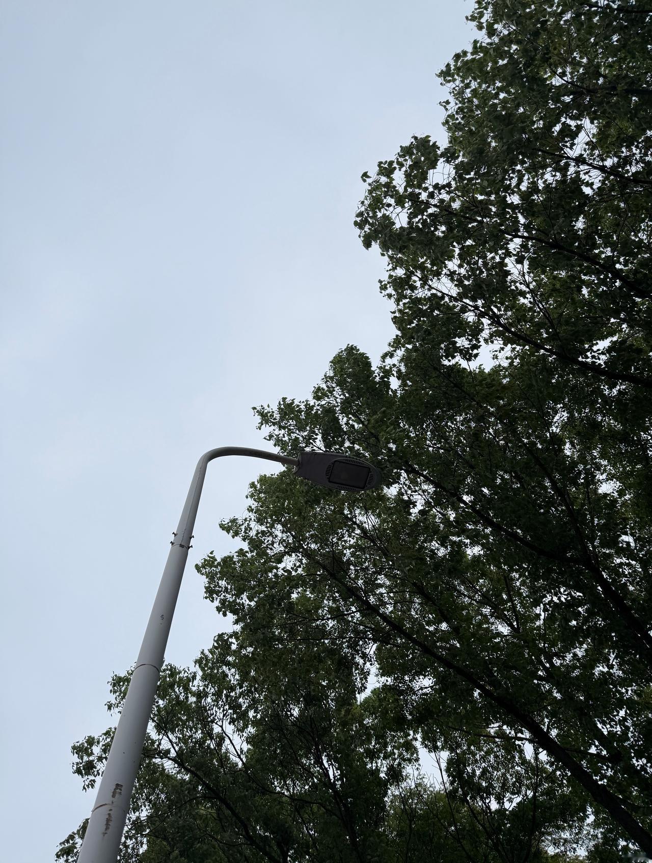 下午起风降温了
短袖瑟瑟发抖中 ​​​