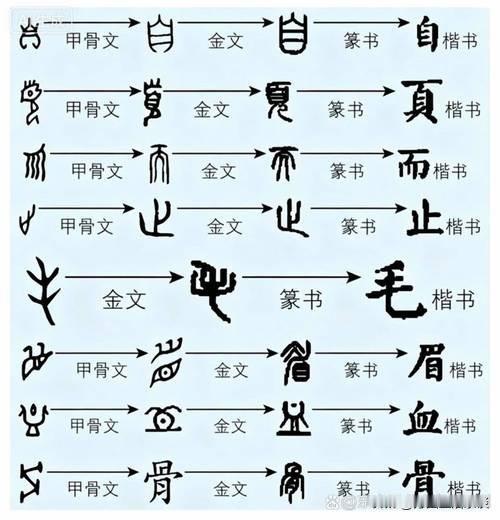 什么是甲骨文？
商朝前期，人们把字刻在龟甲骨头上面，这就是甲骨文。拿刀刻出来文字