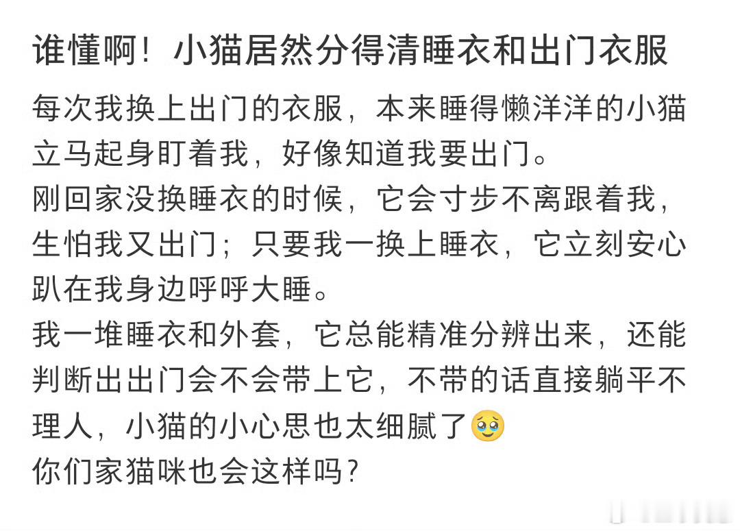 小猫居然分得清睡衣和出门衣服为什么我家猫咪分不清楚睡衣和出门衣服呢？穿啥都喜欢凑