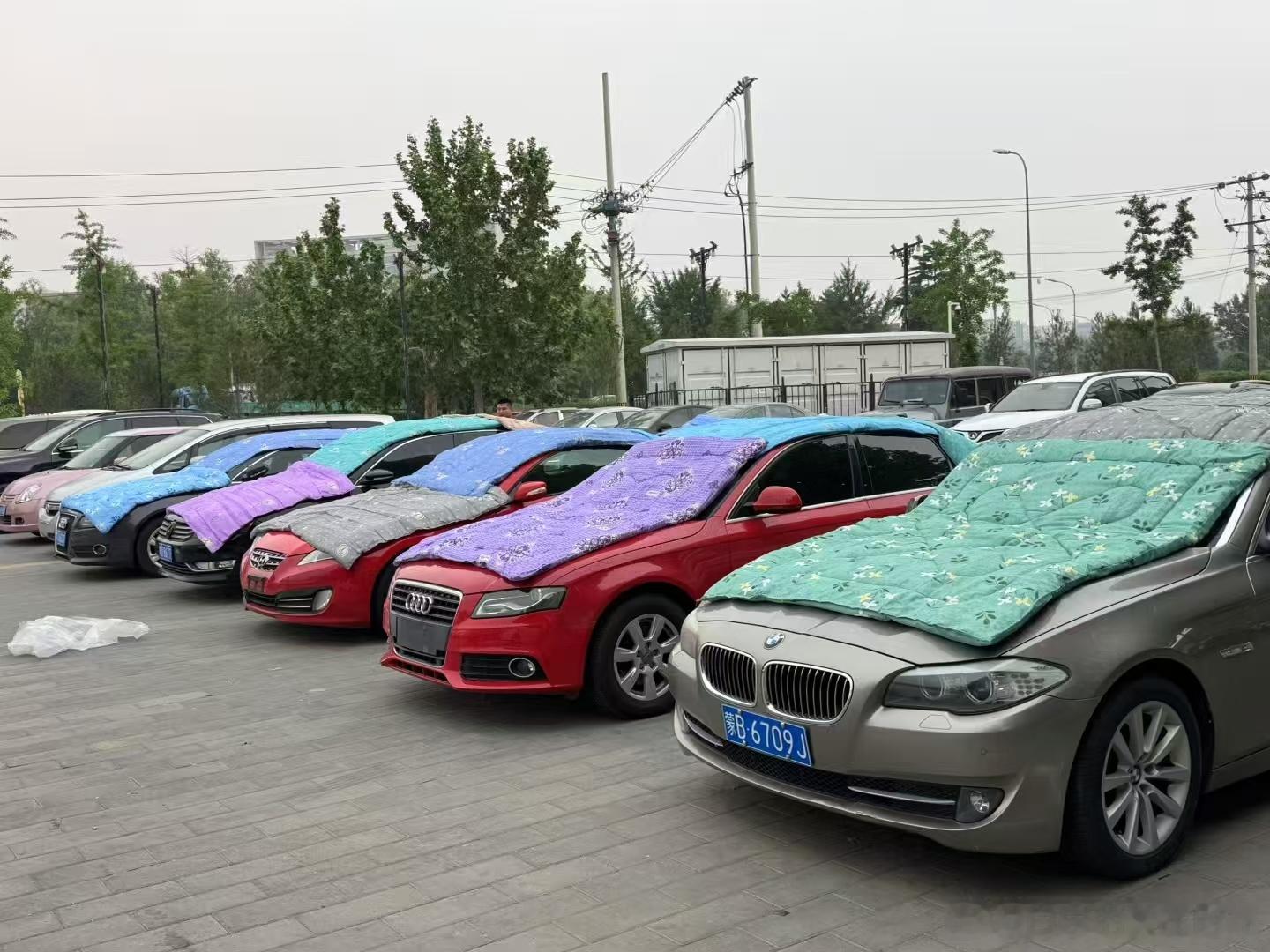 棉被最近应该卖的不错，尤其是最便宜的那种。 ​​​