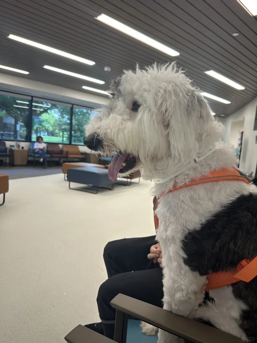 就诊记录｜IBD基本控制住啦！