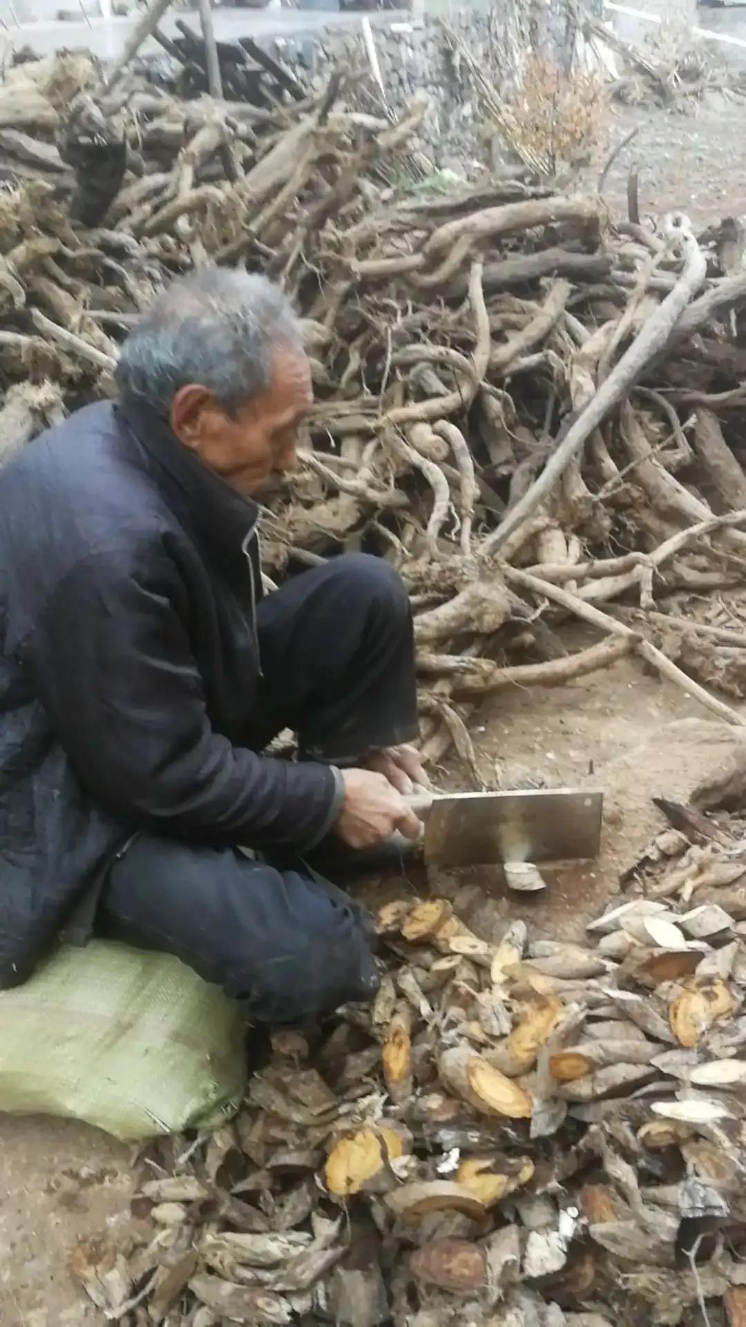 我的老丈人，患有长寿妄想症和死亡恐惧症。因为有了死亡恐惧症，所以有时候不敢睡觉，