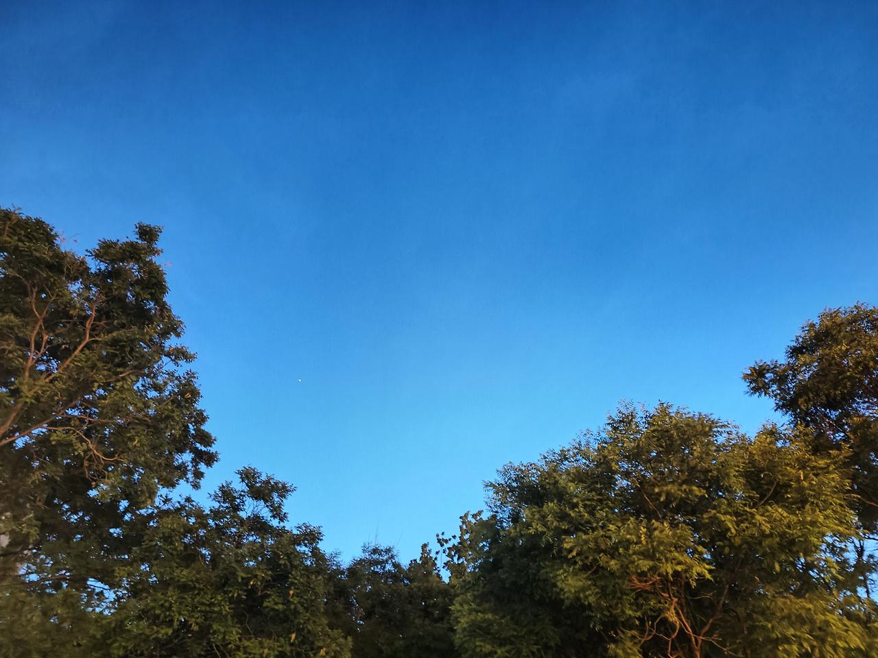 世间烟火平淡，仍有人满怀热忱认真生活。万事皆抛，唯愿安睡。
今天在母亲这里，母亲