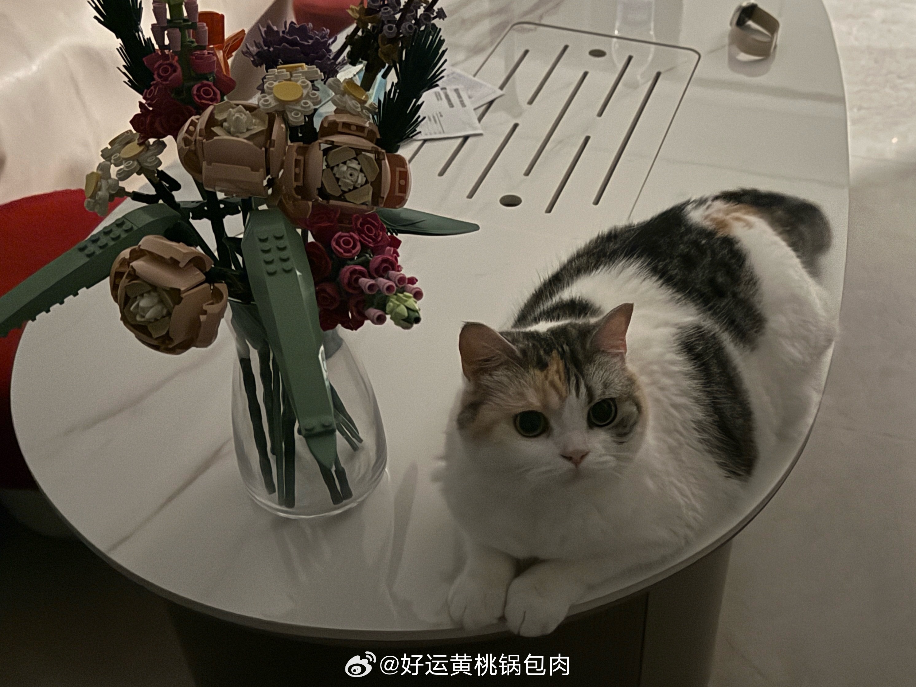 咪的身材很曼妙 