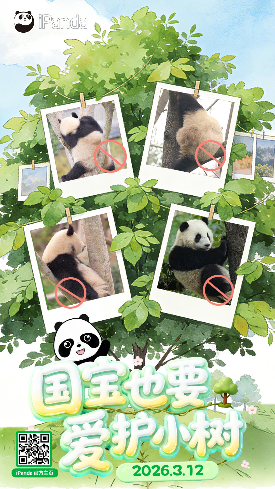 熊猫和小树可是天下第一好～春天已至，新绿待种🌿植树节滚滚邀你种一树美好，愿你的