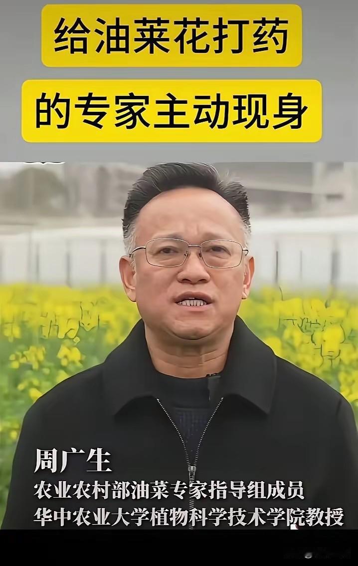 真是大开眼界！
有些专家一开口就是：我是为了防治病虫害、为了保油菜产量！单看实验