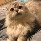晓铭侃侃军事
