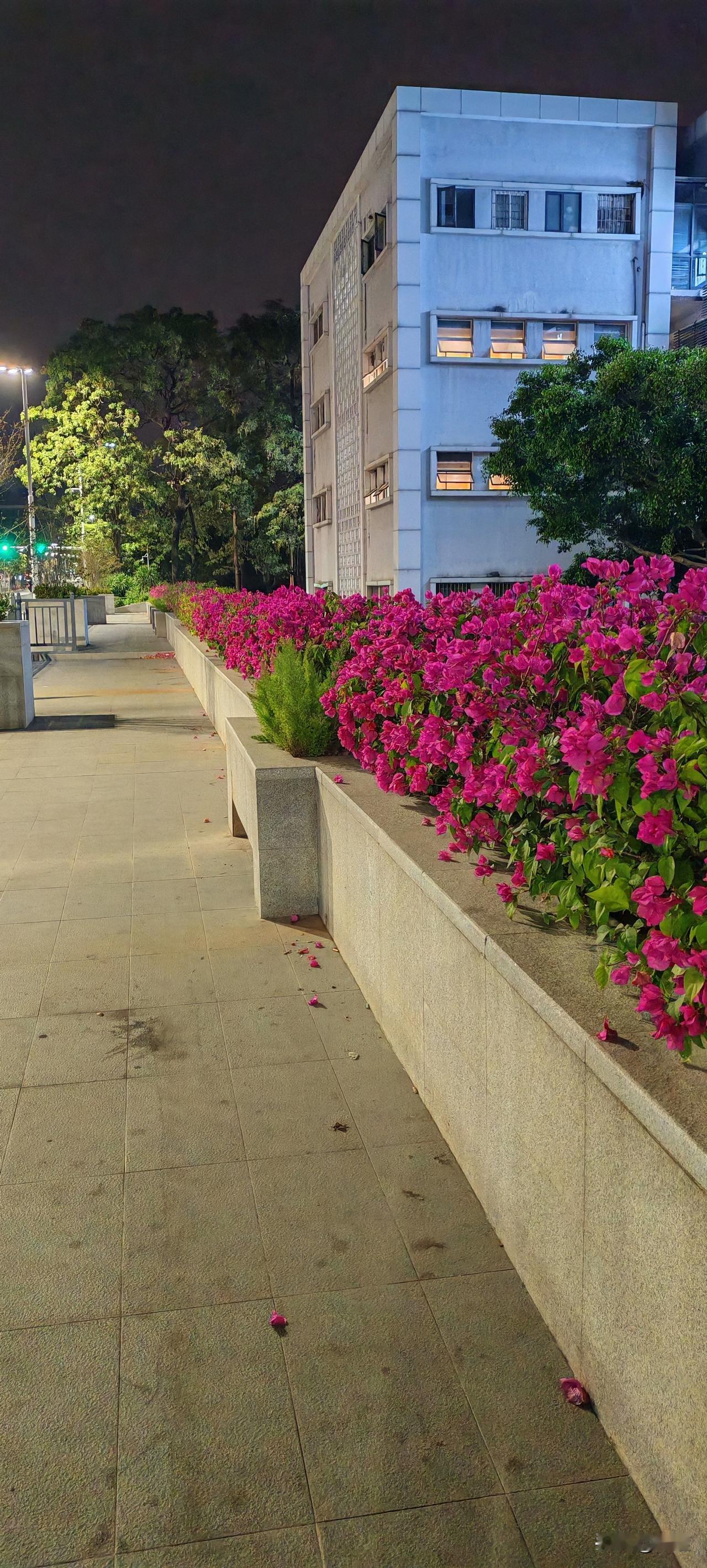 二婚俩人再生个孩子，有了共同的牵挂，俩人就一条心了吗？拉倒吧，别天真了。
再生一