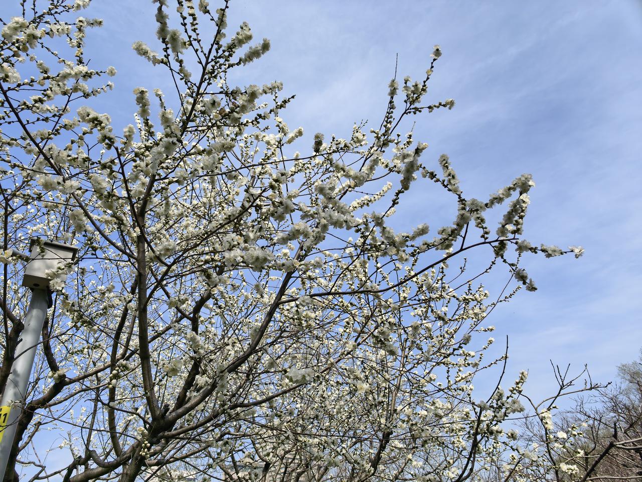 春日生活打卡季玉芬，是不是玉芬？
