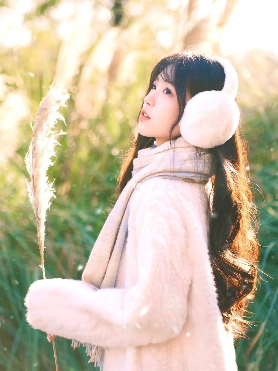 冬日芦苇荡꙳ₓ 🌾*･ﾟ