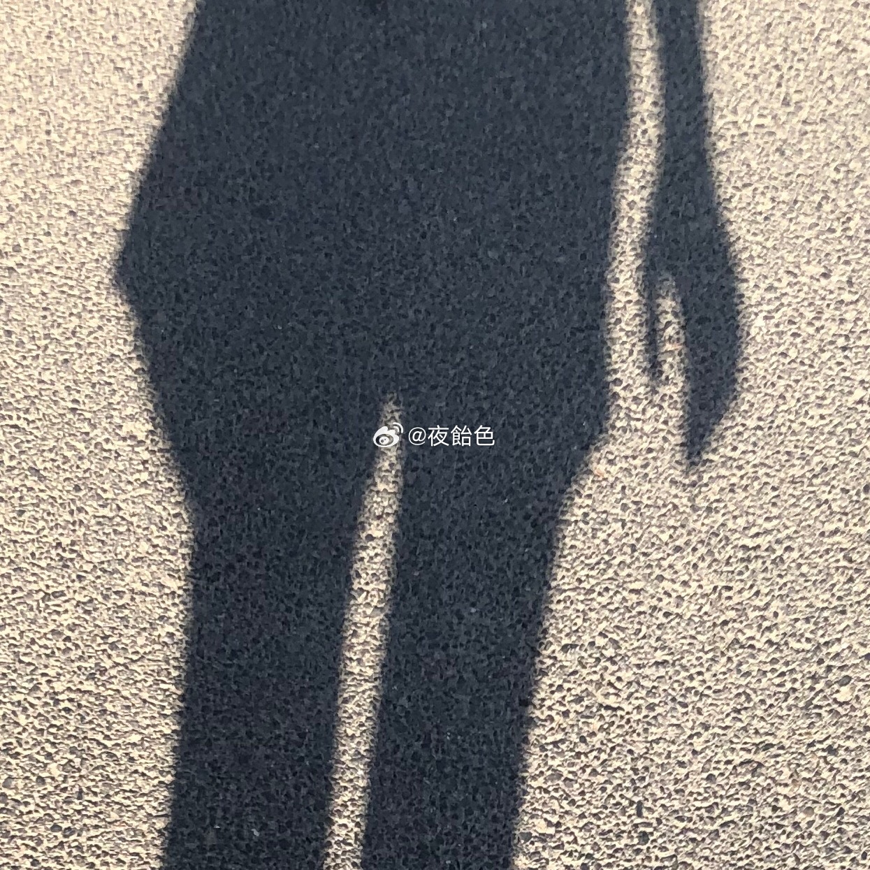 早说过了我有一双巨大的鱼鳍 