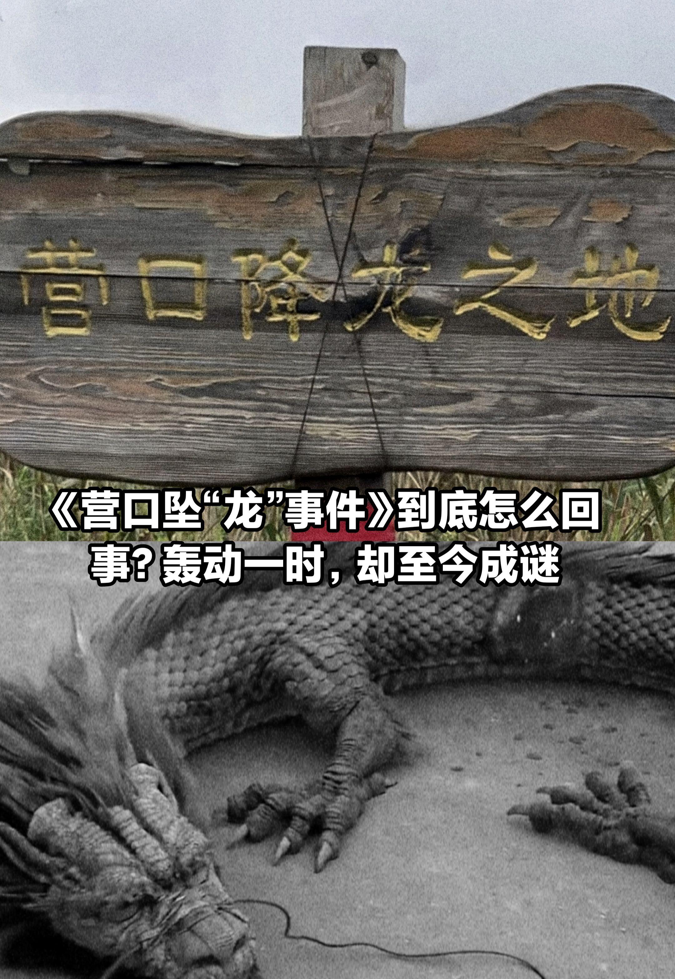 营口坠龙事件怎么回事？为何至今成谜？