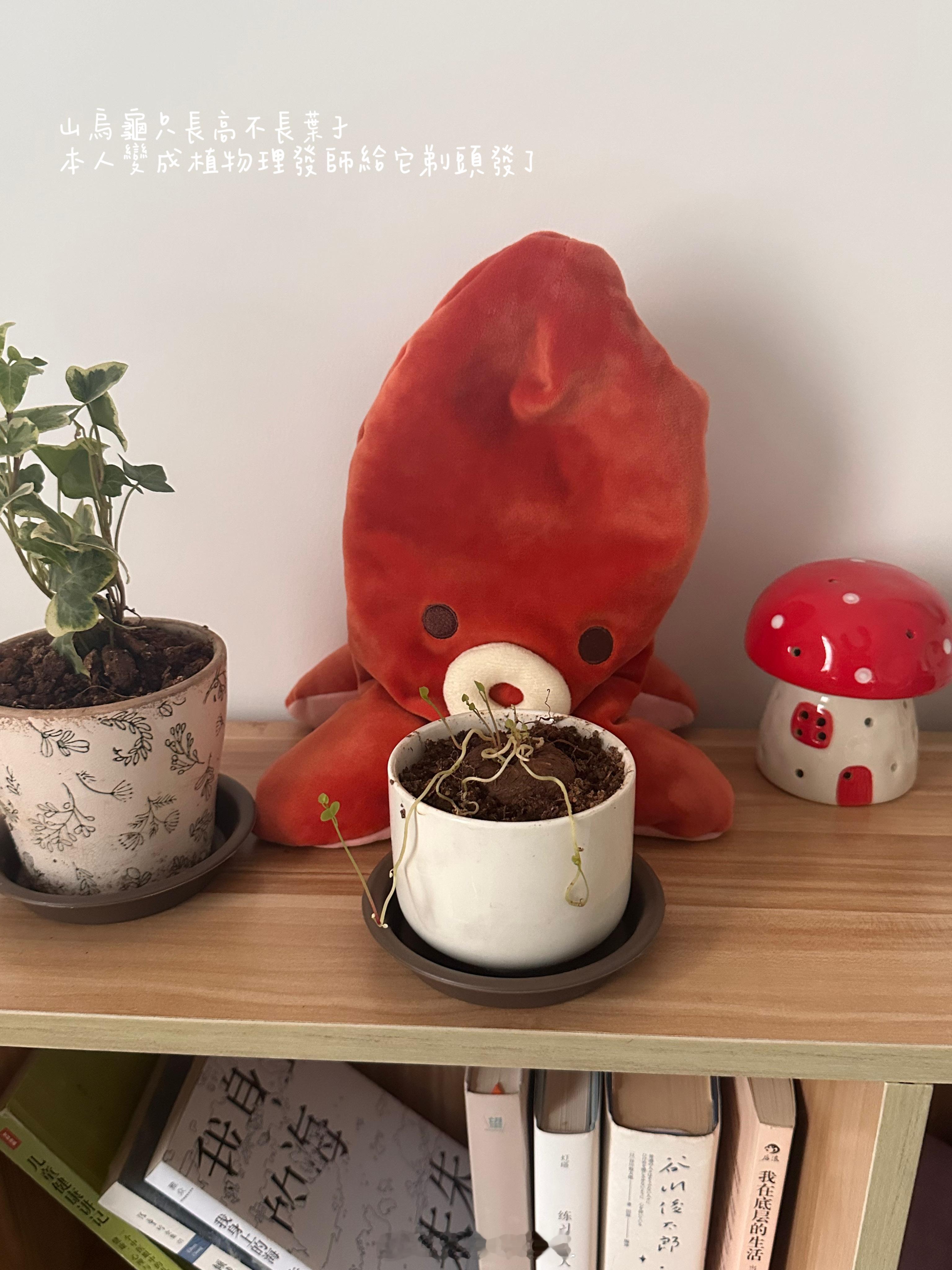 过想象的生活。 ​​​