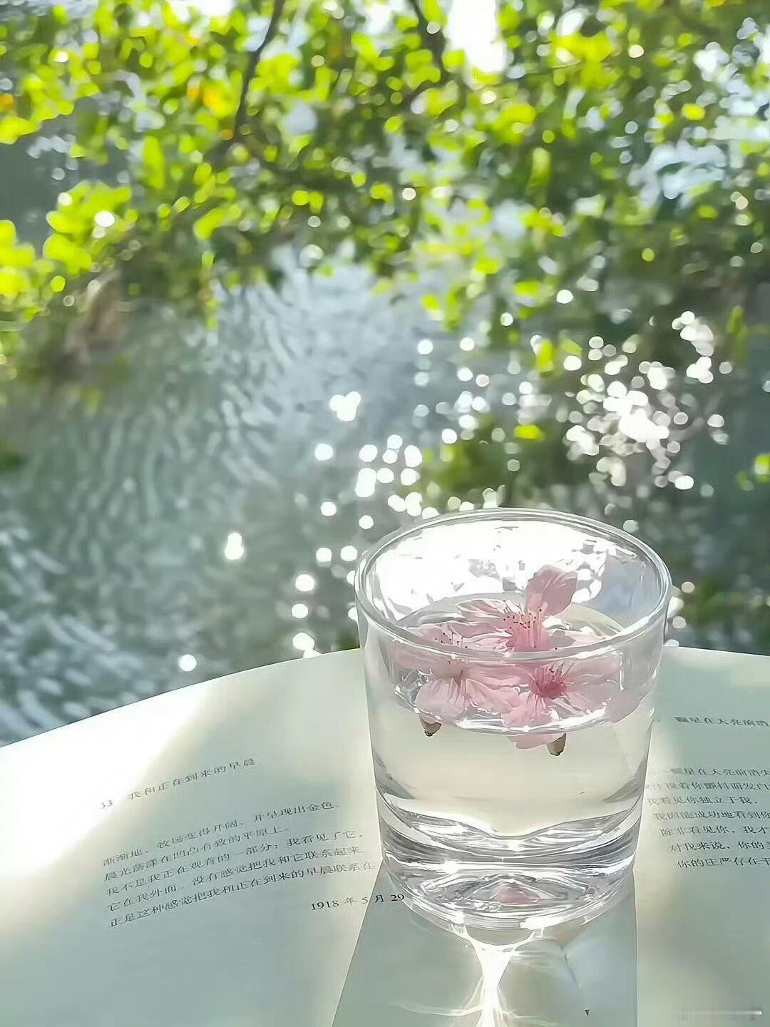 "在繁花似锦的季节里，让心灵自由飞翔" "踏遍春光，绽放自我" "穿梭于春日的暖