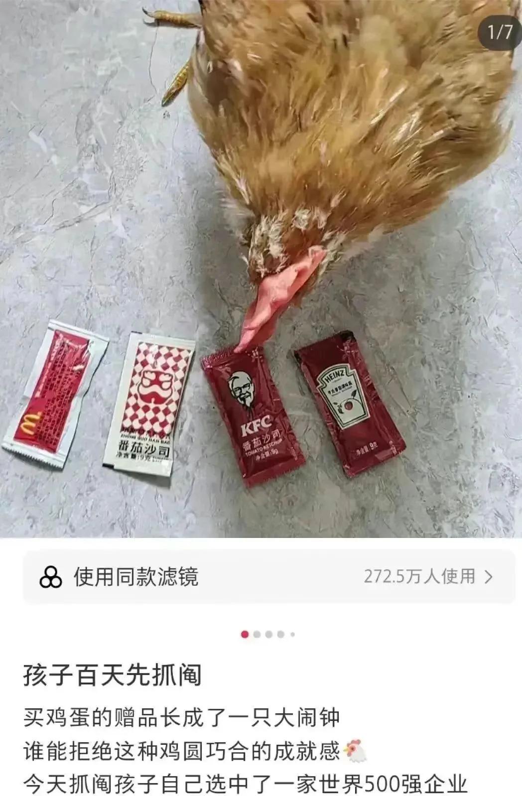 黄焖鸡米饭表示不服🫤