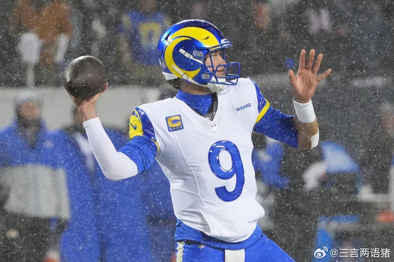 NFL2025-26赛季分区半决赛周 公羊 20：17熊 