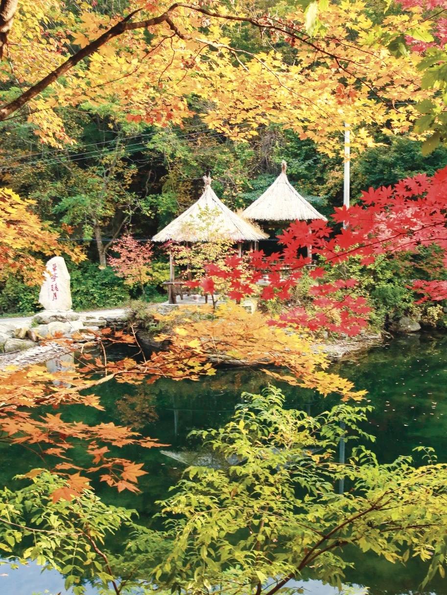 养老到底靠啥？这事儿真值得好好唠唠。现在我国60岁以上老人超3亿，进入中度老龄化