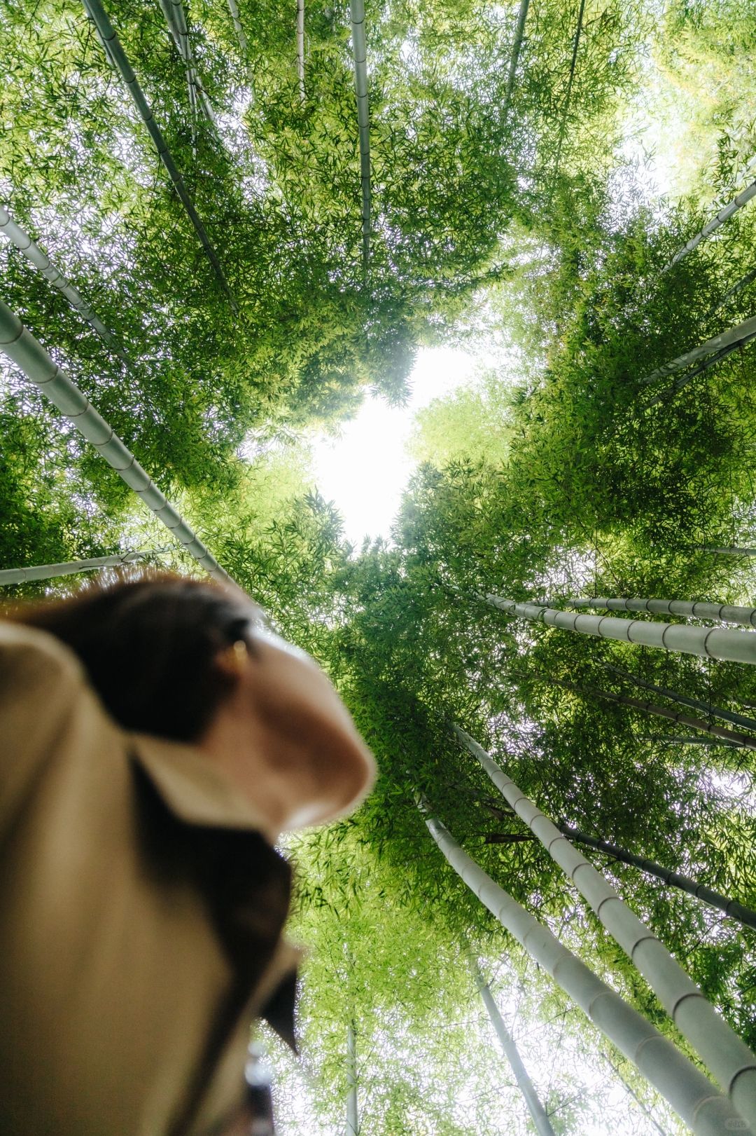 散步摄影展｜抬头遇见人生美景