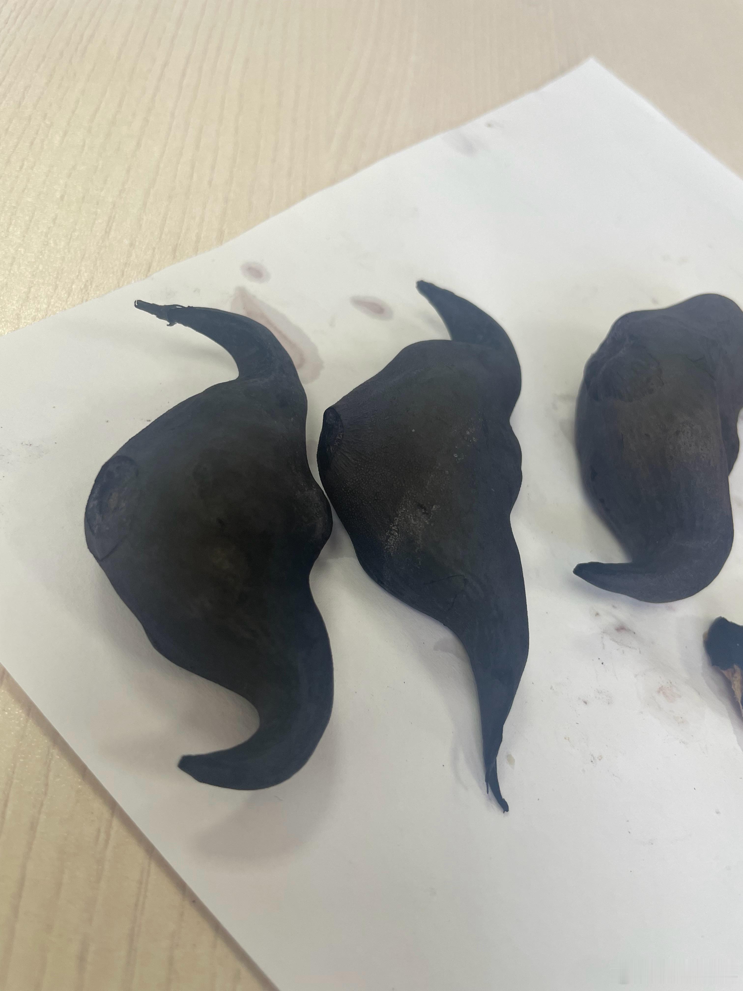 本地早上买的菱角，吃起来有股水塘里的臭水味 ​​​
