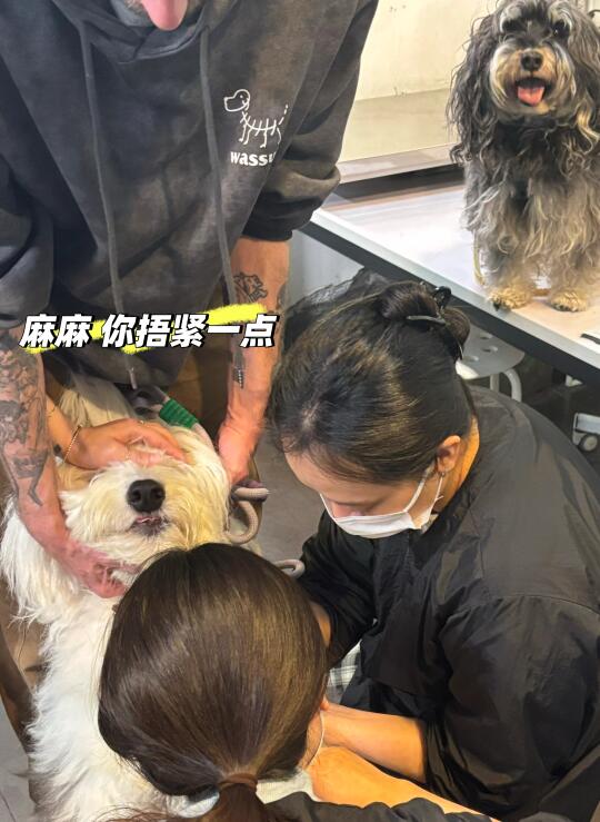 捂紧一点 再紧一点