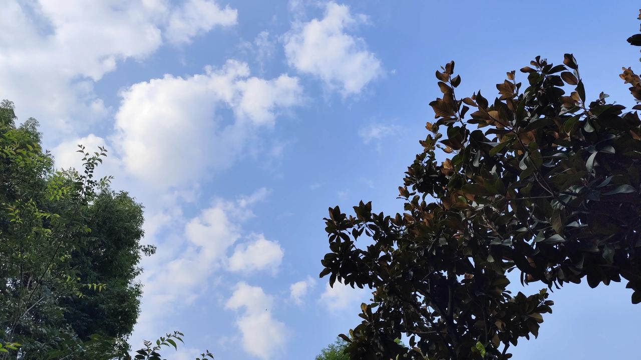 晒图笔记大赛夏日限定风景欣赏！分享一张自然风景照