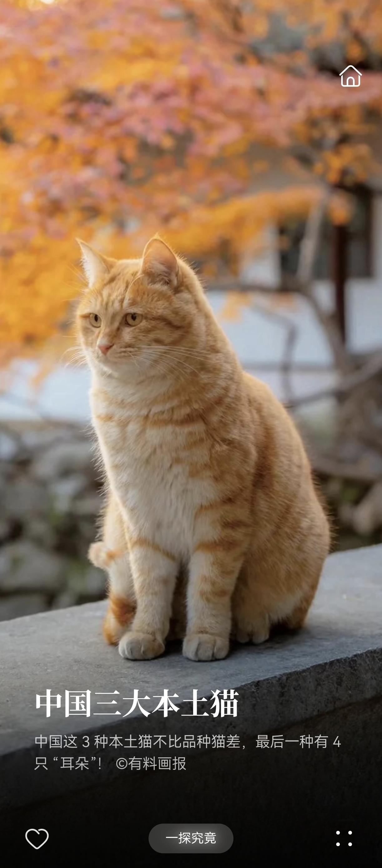 姨夫是个表姨夫，因为一直关系处的不错，所以联系较多。

几年前，姨去世了，这么多