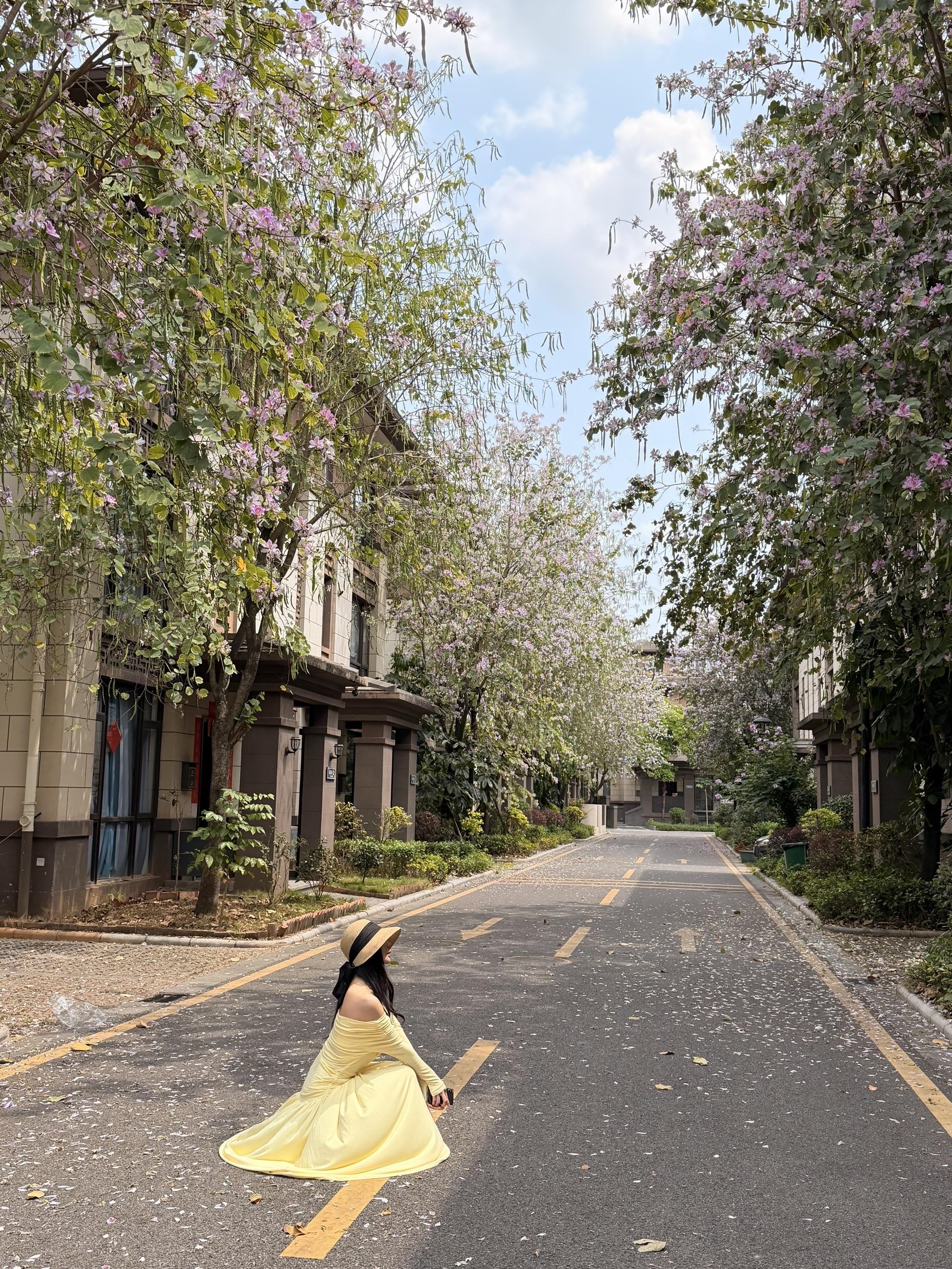 春天的浪漫，是落满一地的温柔，和身边摇着尾巴的小美好