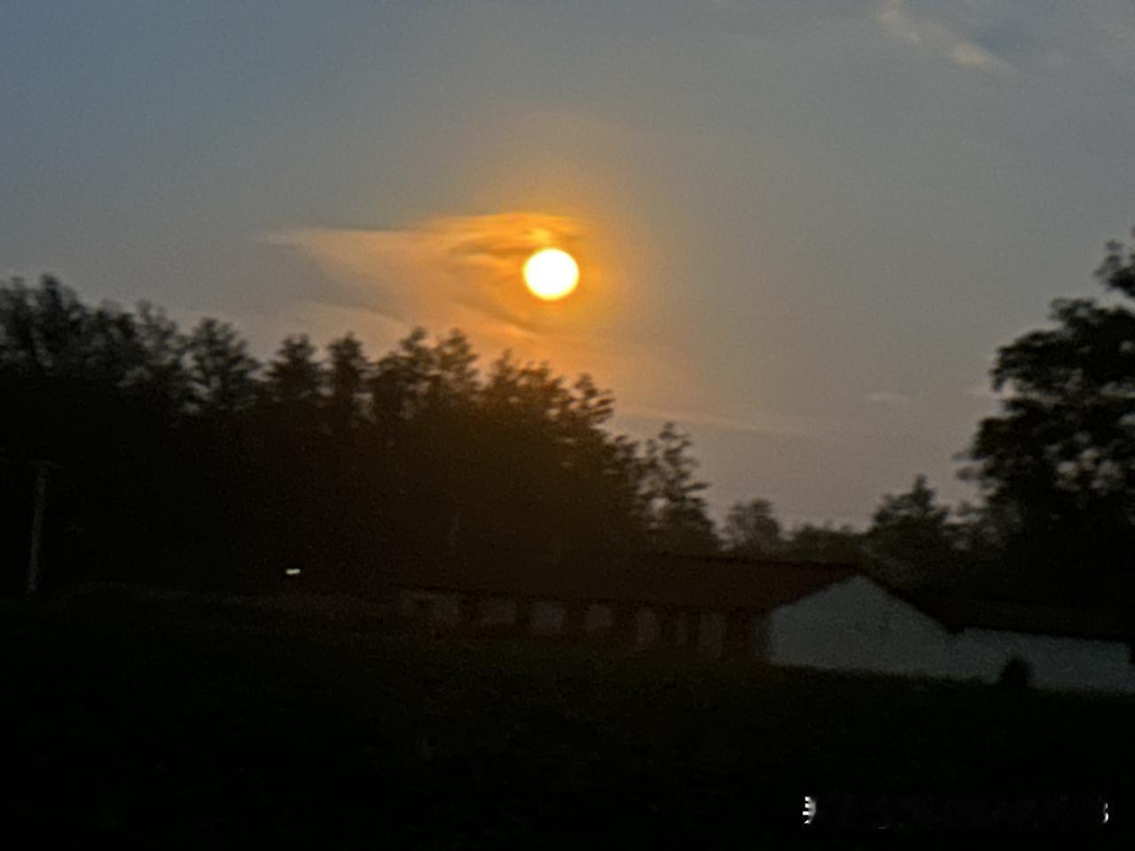 【七律 ·晚安 】
 


竹院深深月半斜，晚风轻送落桐花。
数声犬吠归村路，几