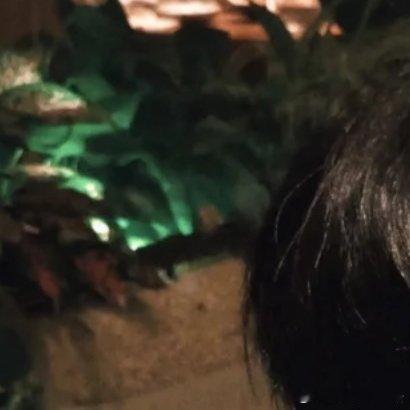 🎹 “我心慕于你，如鹿归于林野，   如暖阳般爱你。”  