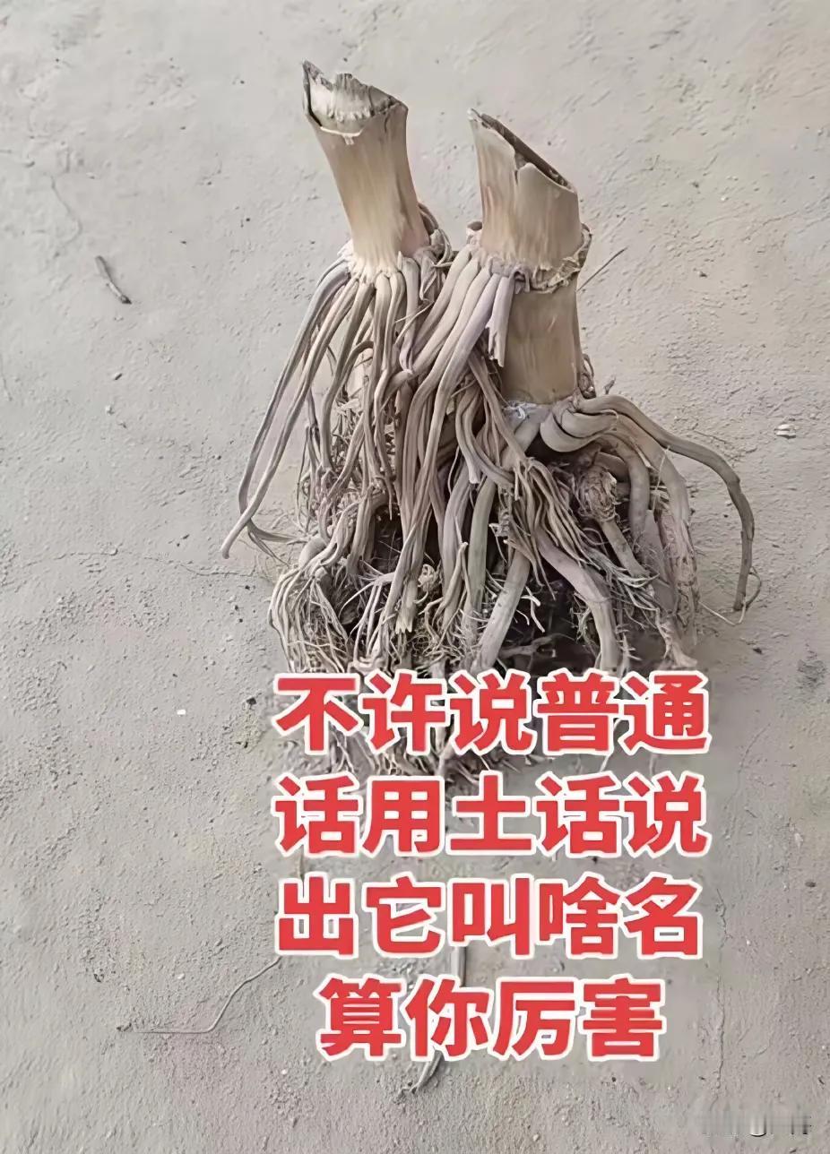 你们知道用土话说这叫什么吗？