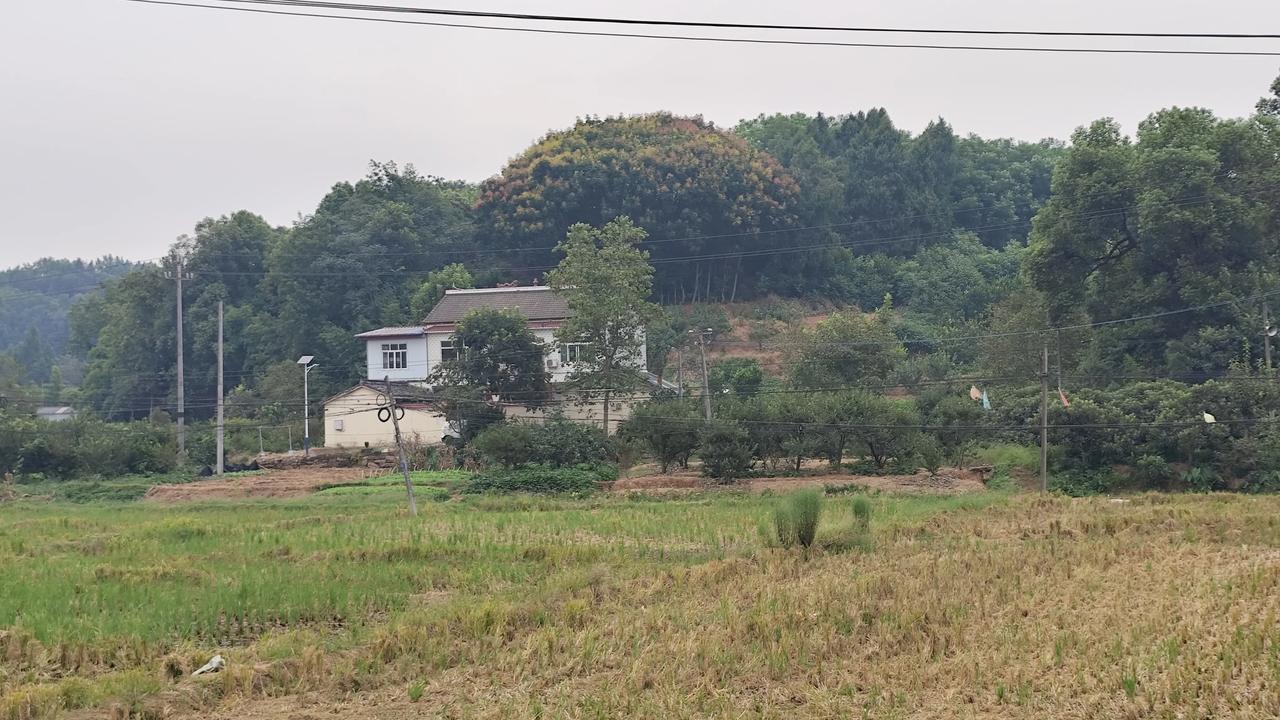 秋日生活打卡季秋日乡村风景欣赏！分享自然风景照片