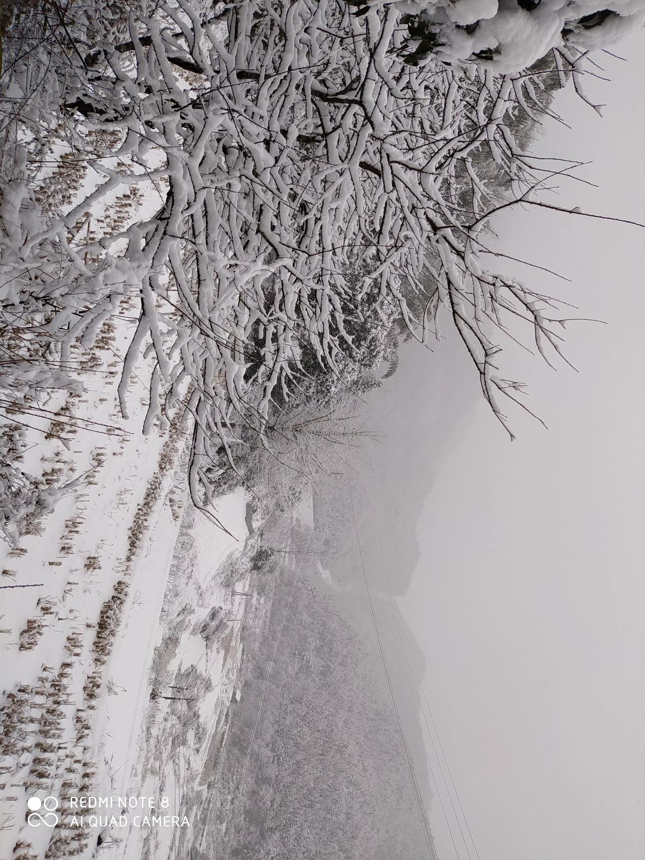 这几天暴雪停电，手机偶尔才有信号，评论都没能回复大家，请谅解[微笑]