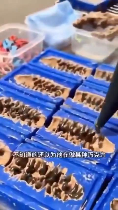 你吃的海参不一定是真的海参。画面里一个男子熟练地拿着蓝色的模具，舀起一勺棕褐色的