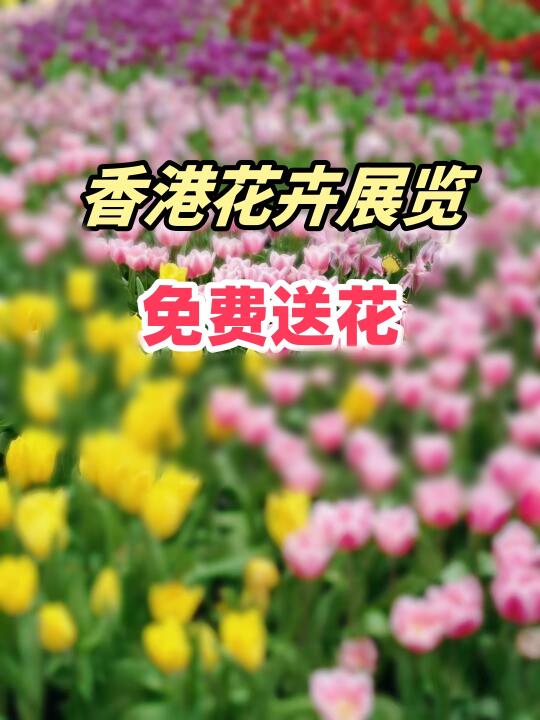 2025香港花卉展览免费领花啦！