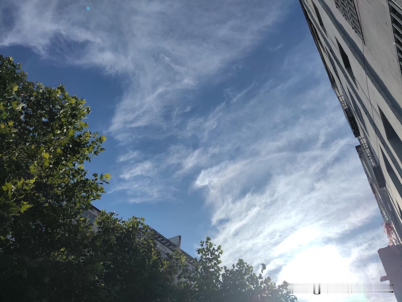 又是崭新的一天
一天好心情
天很蓝
也很干净
出去旅行吧