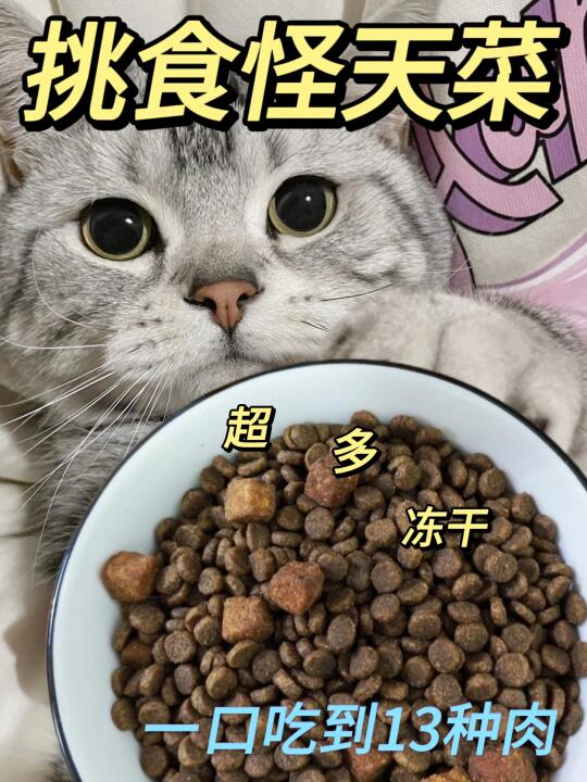 见着挑食猫粮届活爹了！秒空盘...