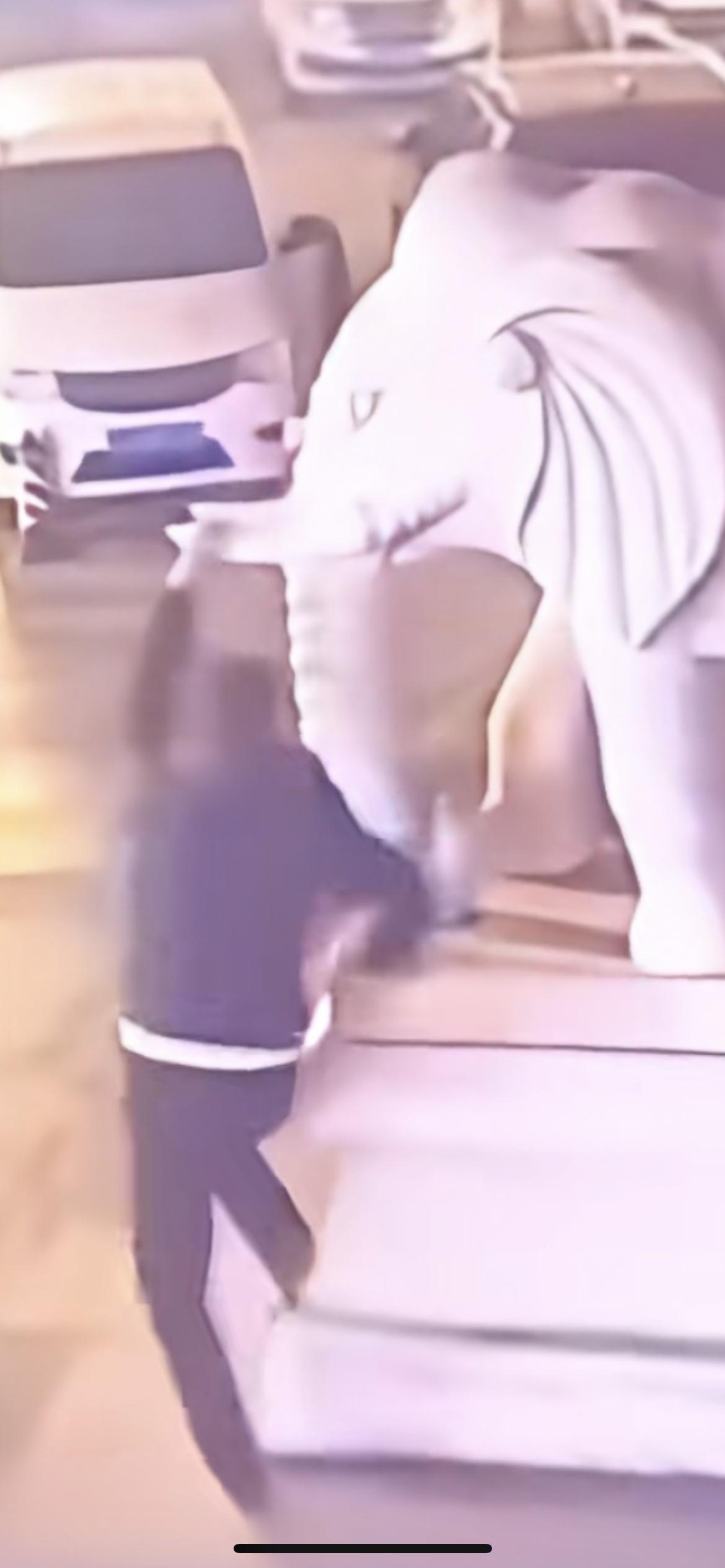 近日河北沧州，小伙拍照时坐到石雕大象底座摆造型，扳断“象牙”后逃离。单位工作人员