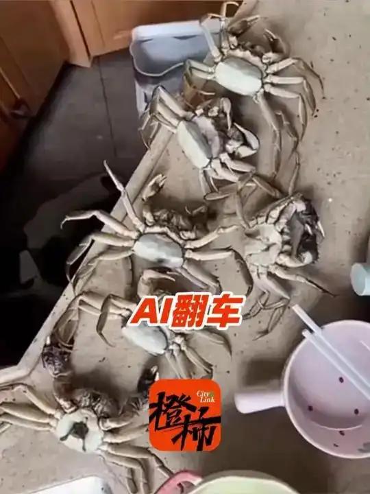 网购螃蟹“死蟹退款”闹剧：AI造假买家被拘！

2025年12月3日，一则电商纠