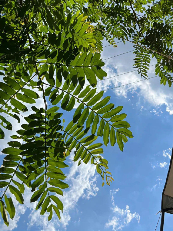 𝐈𝐭 𝐰𝐢𝐥𝐥 𝐛𝐞 𝐛𝐞𝐭𝐭𝐞𝐫🌿以最大的平静，