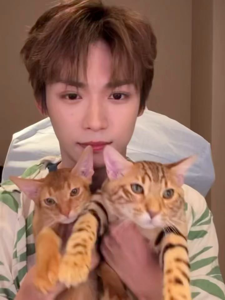 梓渝直播来啦，过年去斯里兰卡了，还不忘给我们看小十一和大鱼，好萌好可爱啊！年后事