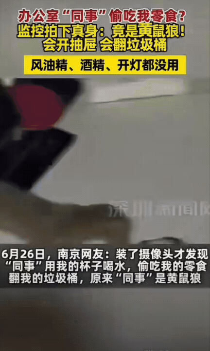 哭笑不得！南京一家公司紧挨着紫金山，一位女员发现自己工位抽屉经常被人打开，零食包