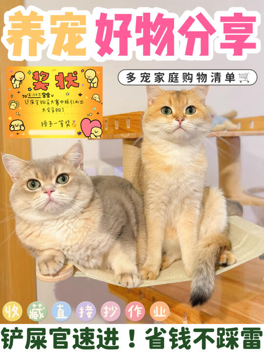 🎉家里有毛孩子的看过来｜pdd宝藏好物！！