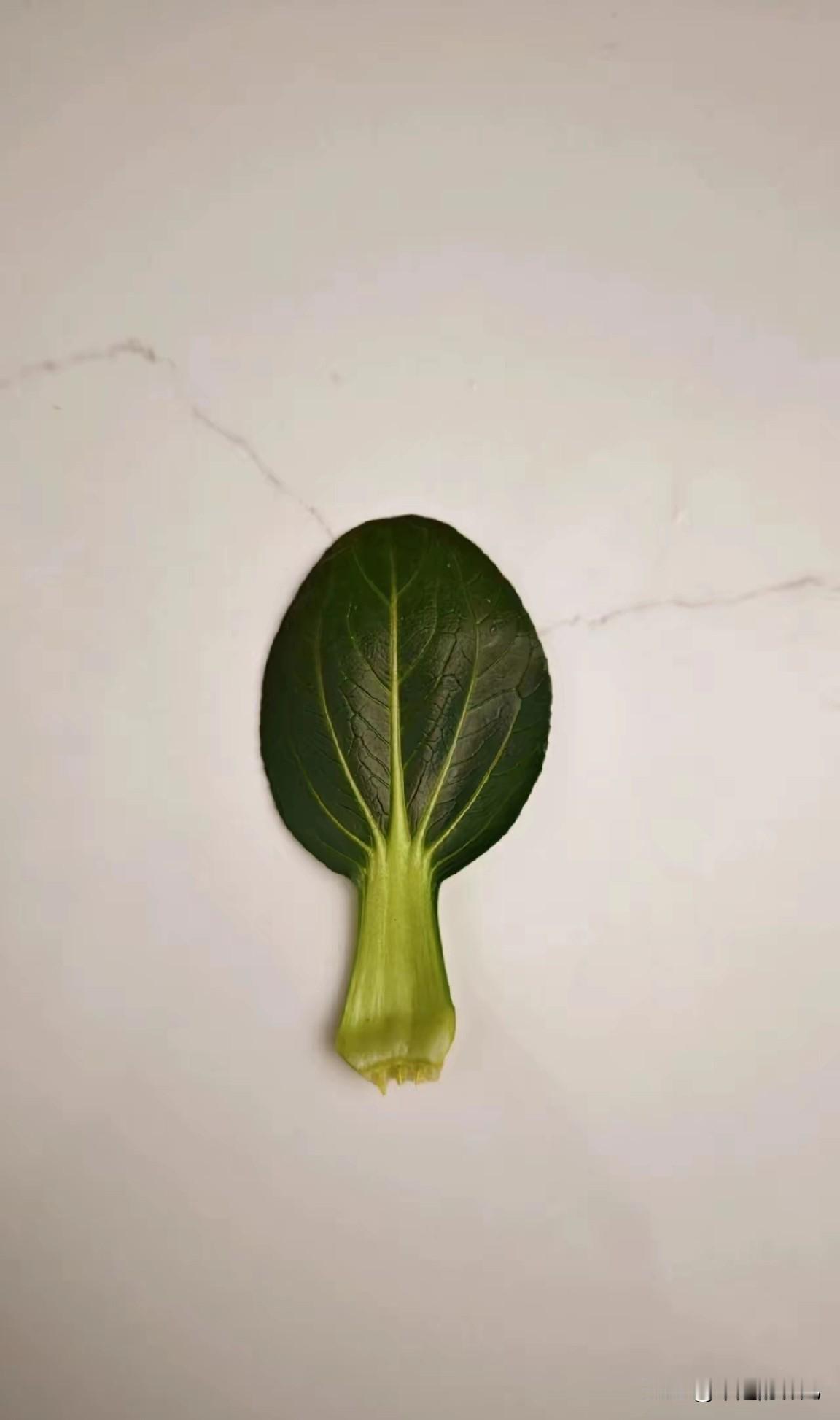 今天的菜叶子真邪乎，
写了的都爆了，
为啥爆我也不知道，
我也发一个菜叶子，
希